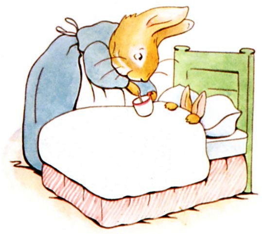 chamomile_peter-rabbit